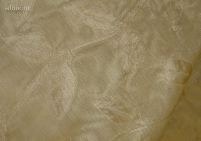 ����� Dedar - ����� CAMELIA
